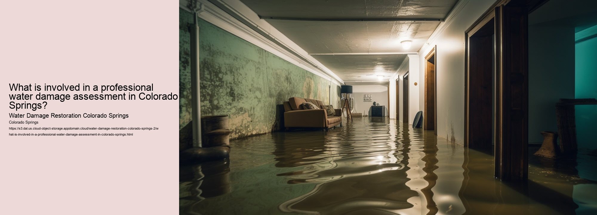 What is involved in a professional water damage assessment in Colorado Springs?